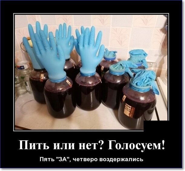 Забавные и очень смешные демотиваторы про девушек и не только