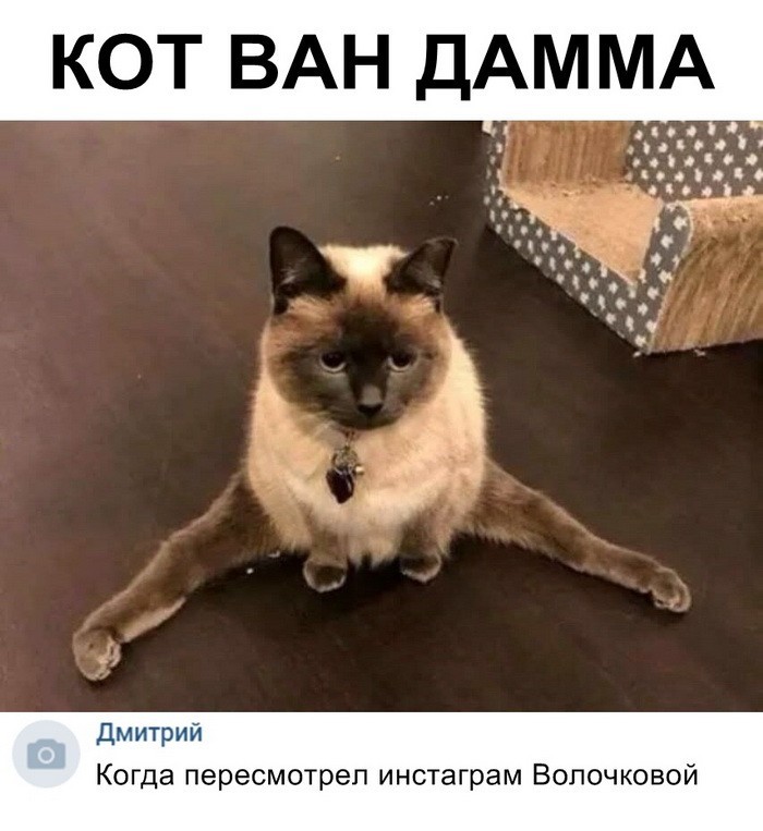 Скриншоты из социальных сетей (40 фото)