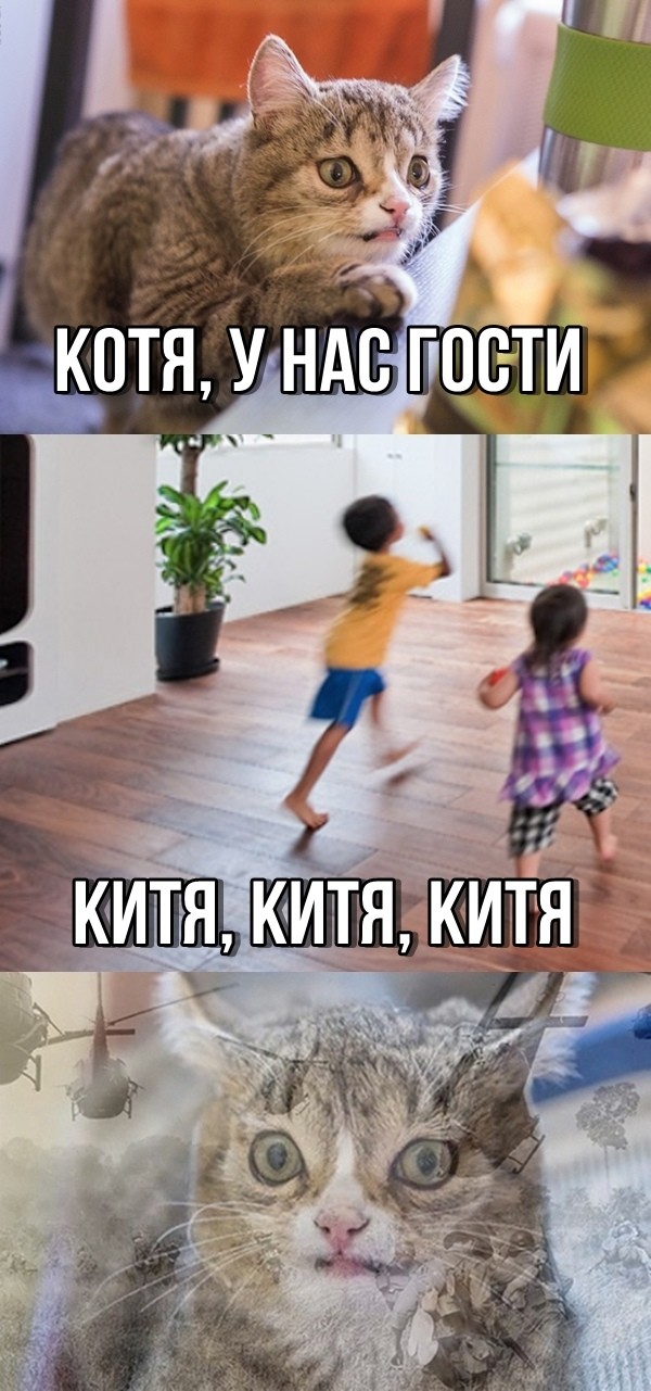 Лучшие прикольные картинки с надписями (20 фото)