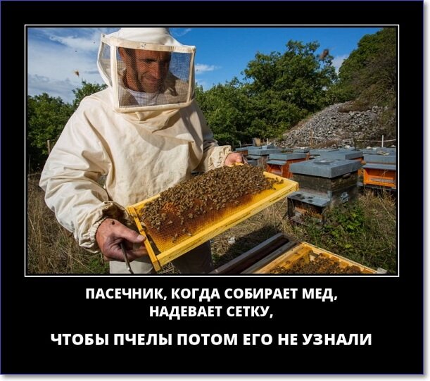 Злобные демотиваторы