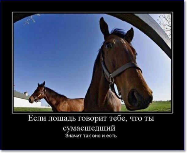 Злобные демотиваторы