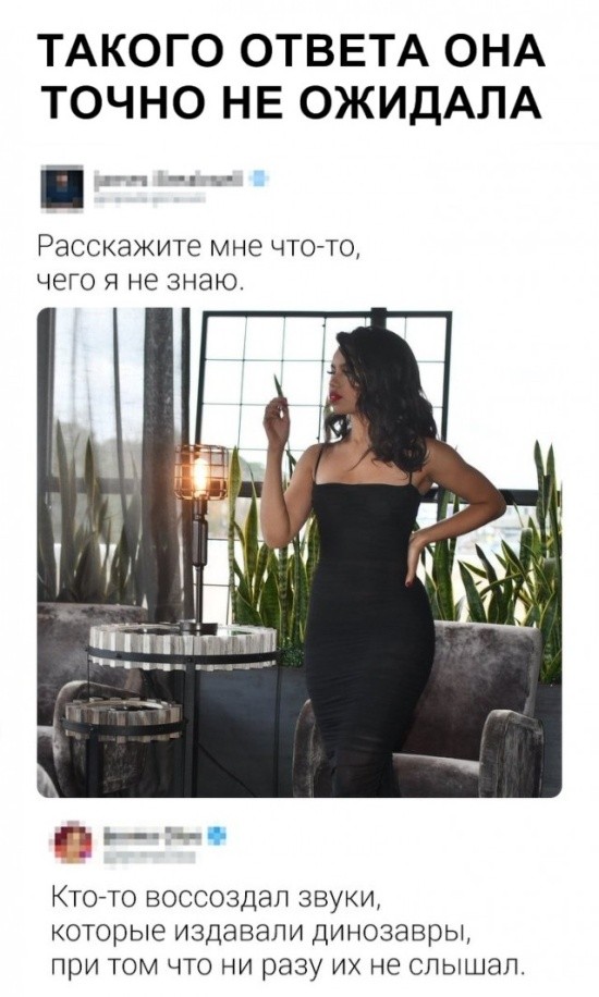 Юмор и шутки в соцсетях без особого смысла (30 фото)