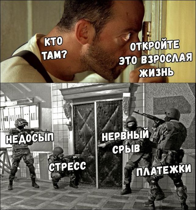 Подборка фото-приколов с надписями (89 фото)