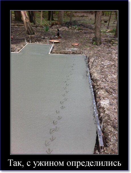 Кайфологовые демотиваторы