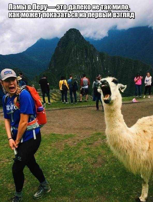 Фотоподборка, которая расскажет о странах мира лучше, чем любой путеводитель (17 фото)