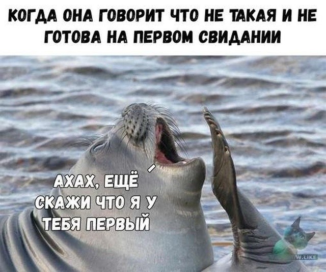 Очень странный юмор из социальных сетей (30 фото)