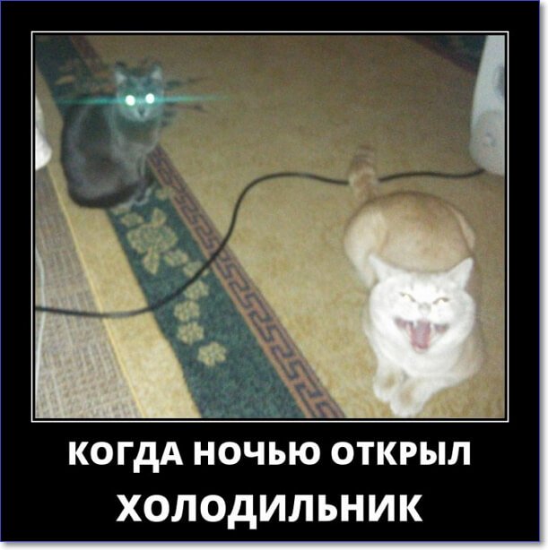 Злобные демотиваторы