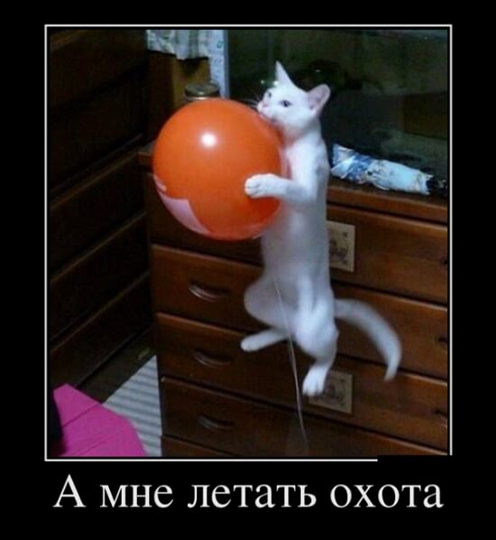 Фото русский демотиватор Фото русский демотиватор