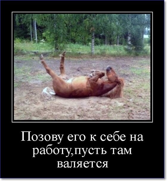 Кайфологовые демотиваторы