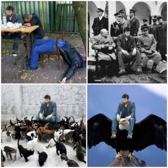 Как появились известные интернет-мемы (30 фото) Как появились известные интернет-мемы (30 фото)