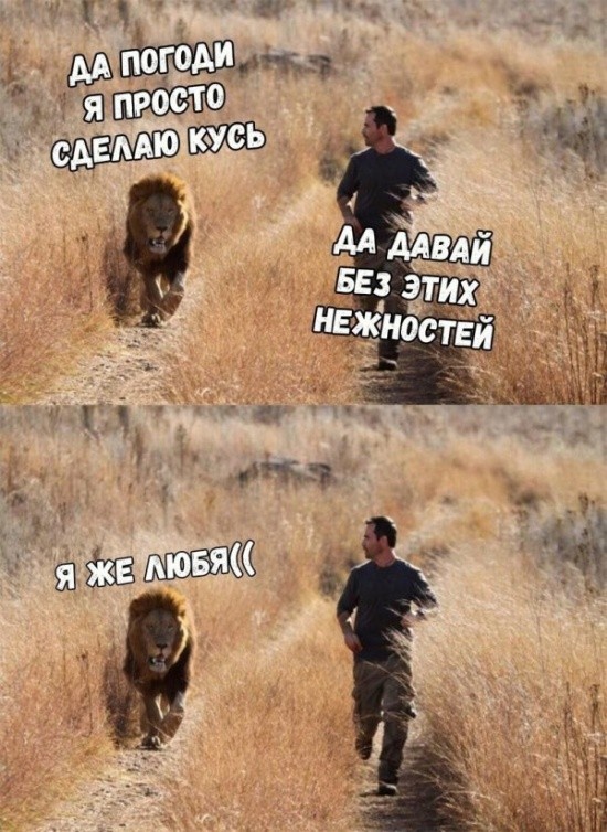 Нестандартный юмор с просторов сети (32 фото)