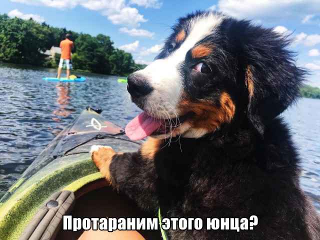 Подборка фотоприколов. Часть 4 ( 30 фото) Подборка фотоприколов. Часть 4 ( 30 фото)