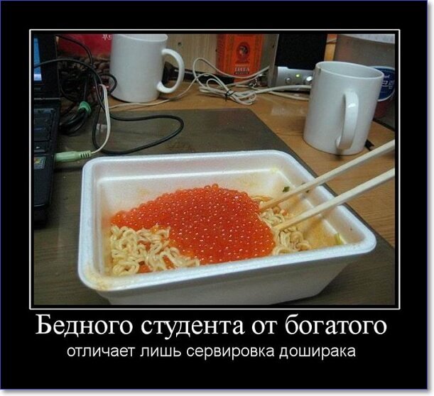 Забавные и очень смешные демотиваторы про девушек и не только