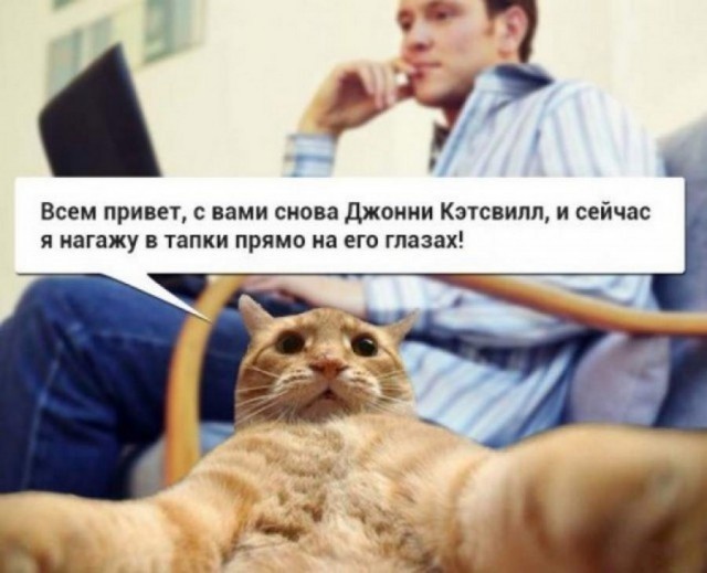 Как появились известные интернет-мемы (30 фото) Как появились известные интернет-мемы (30 фото)
