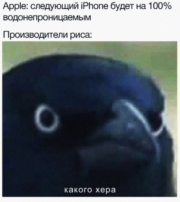 Пятничная подборка прикольных картинок, мемов и фото (43 шт.)