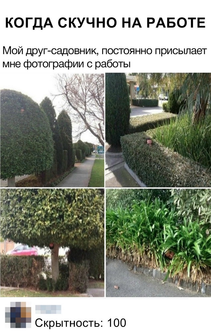 Новые мемы и скриншоты из социальных сетей (35 фото) Новые мемы и скриншоты из социальных сетей (35 фото)