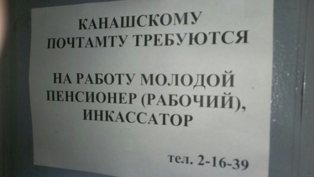 Подборка прикольных фотографий (86 фото)