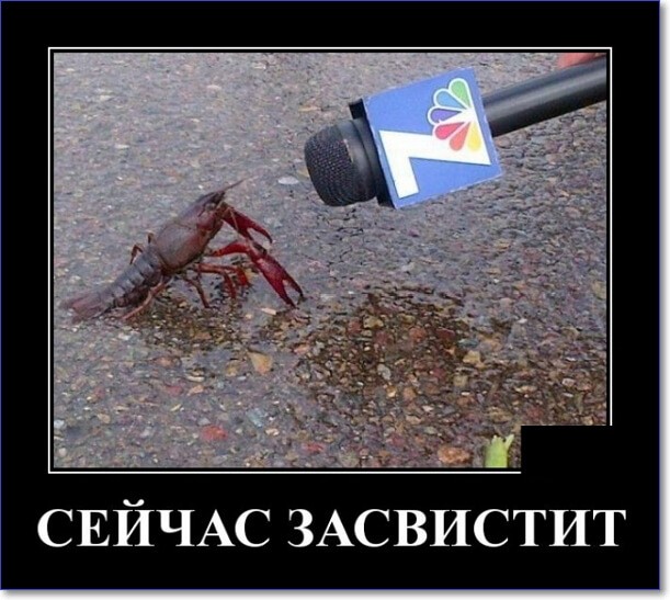 Прикольные демотиваторы, которые можно скачать Прикольные демотиваторы, которые можно скачать