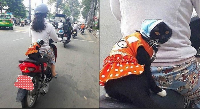 Подборка фото-приколов с надписями (89 фото)