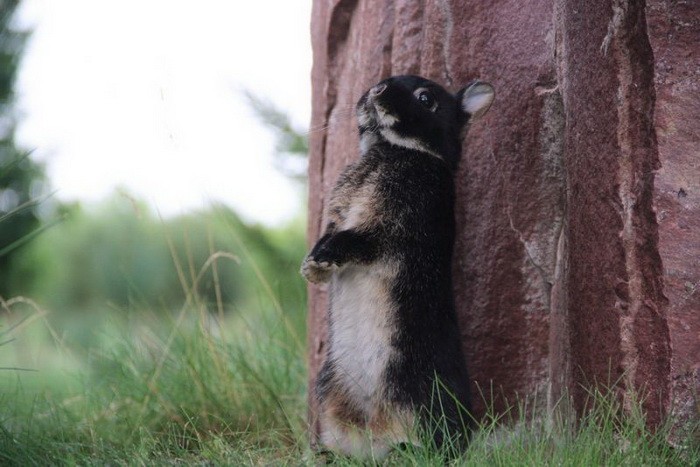 Подборка прикольных фотографий (86 фото)