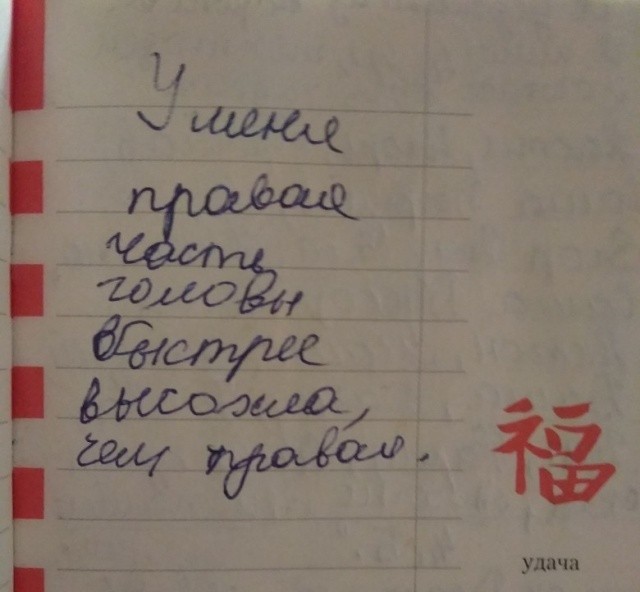 Что пишут дети в своих дневниках (30 фото)