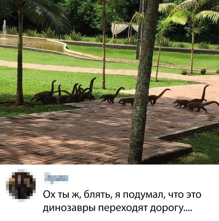 Новые мемы и скриншоты из социальных сетей (35 фото) Новые мемы и скриншоты из социальных сетей (35 фото)