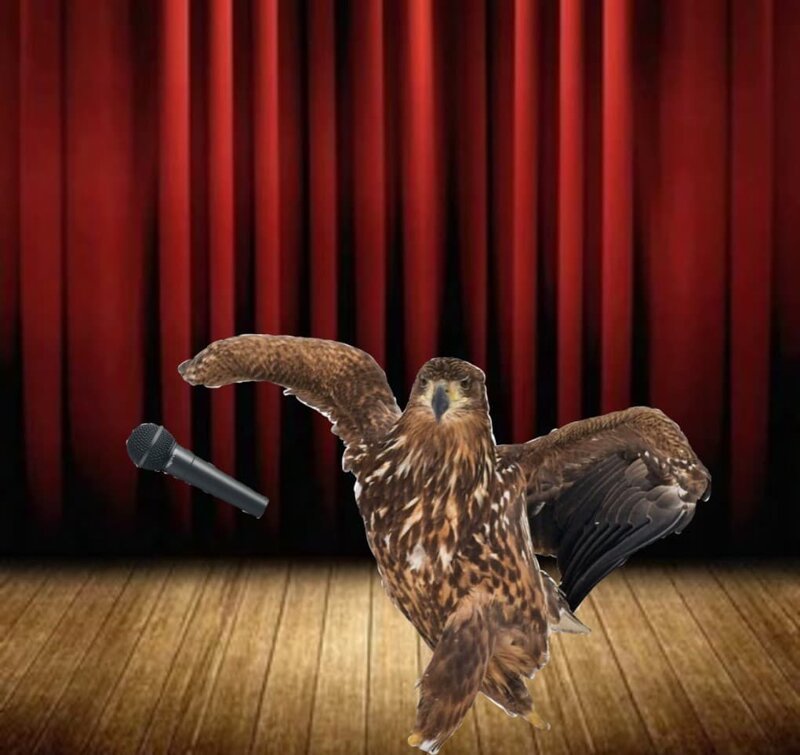 Орёл гордой походкой прошёлся по снегу и из-за этого стал главным героем битвы фотошоперов (15 фото)