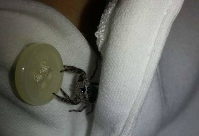 Подборка прикольных фотографий (86 фото)