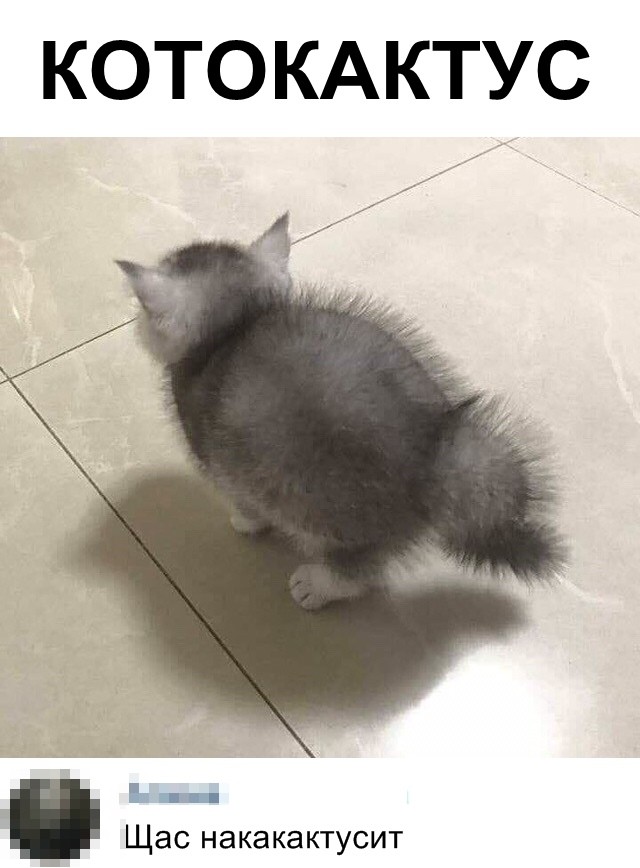 Скриншоты апрельского юмора из социальных сетей (35 фото)