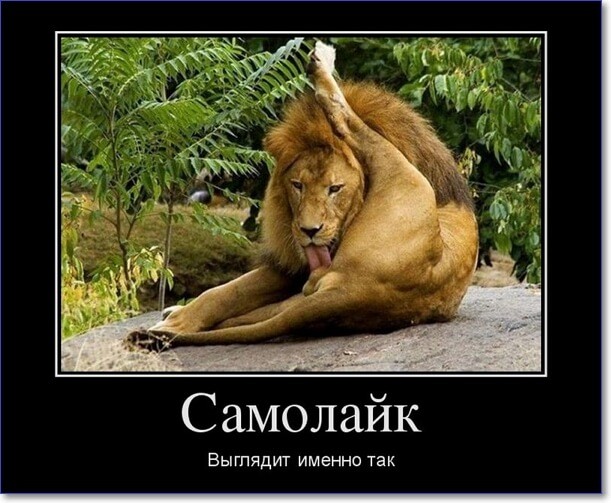 Прикольные демотиваторы