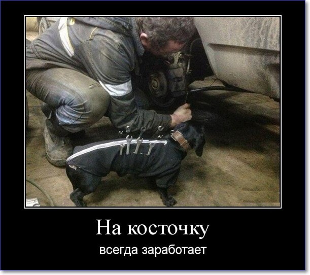 Прикольные демотиваторы