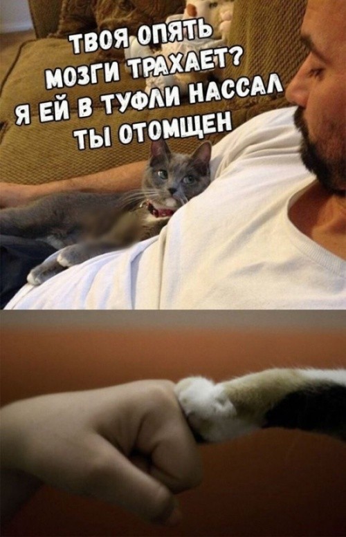 Нестандартный юмор с просторов сети (32 фото)