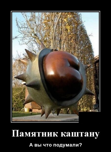 Свежие демотиваторы 2023 года из соцсети ВК Свежие демотиваторы 2023 года из соцсети ВК