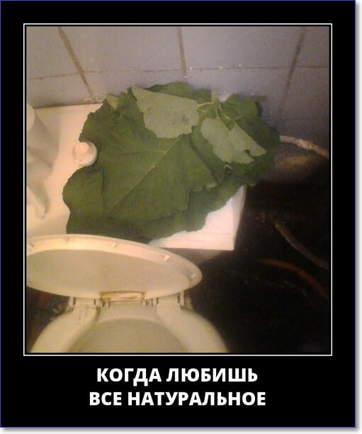 Кайфологовые демотиваторы