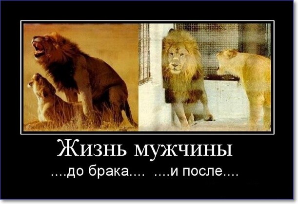 Прикольные демотиваторы