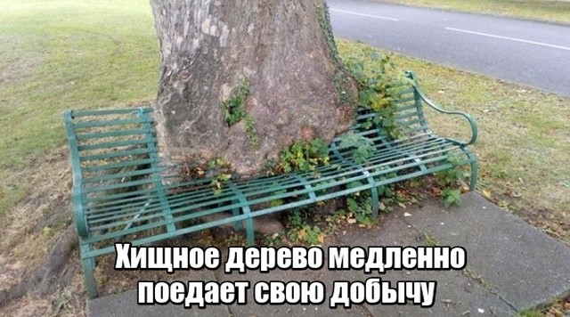 Подборка разных прикольных картинок (20 фото) Подборка разных прикольных картинок (20 фото)