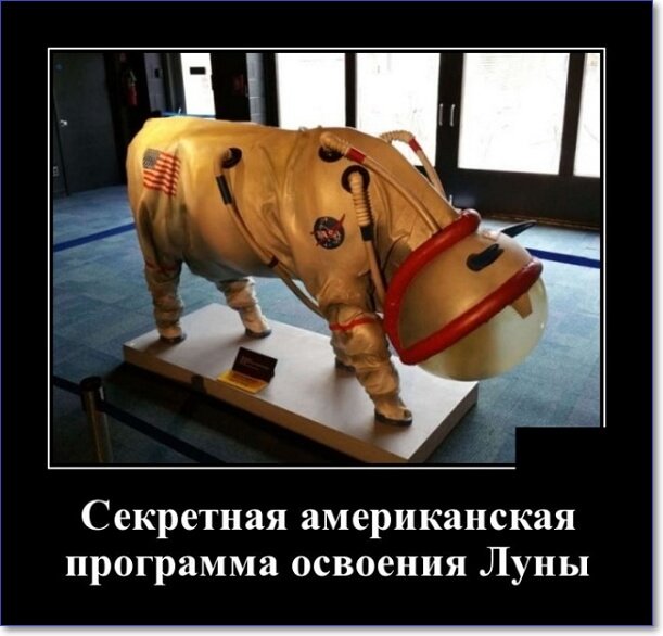 Забавные и очень смешные демотиваторы про девушек и не только