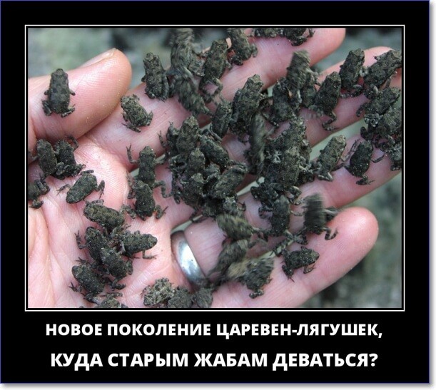 Прикольные демотиваторы, которые можно скачать Прикольные демотиваторы, которые можно скачать