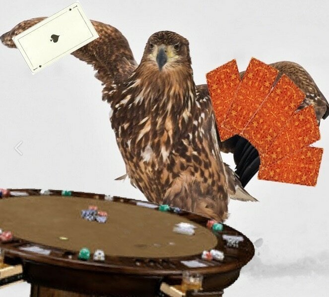 Орёл гордой походкой прошёлся по снегу и из-за этого стал главным героем битвы фотошоперов (15 фото)