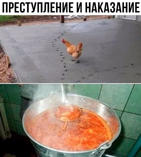 Лучшие прикольные картинки с надписями (20 фото)