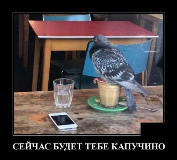 Фото русский демотиватор Фото русский демотиватор
