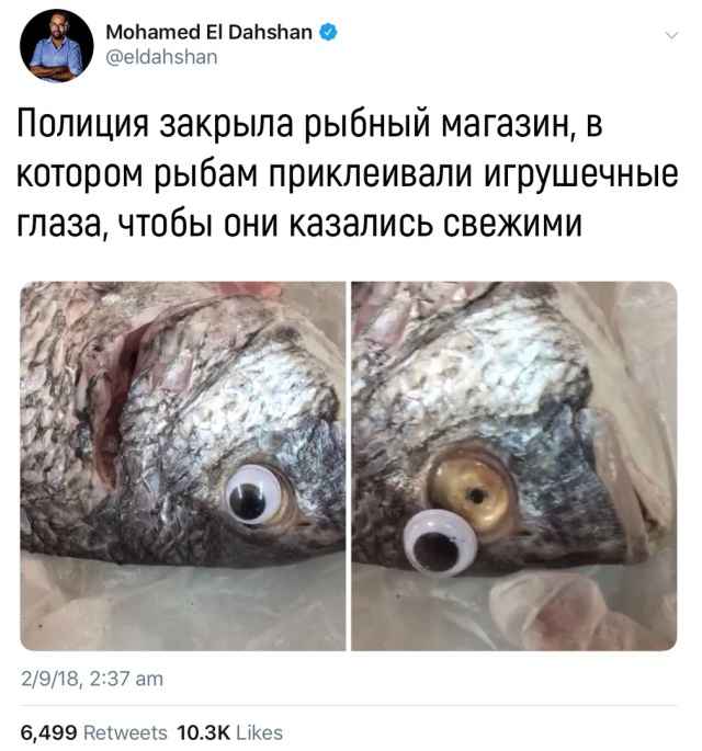 Подборка фотоприколов. Часть 4 ( 30 фото) Подборка фотоприколов. Часть 4 ( 30 фото)