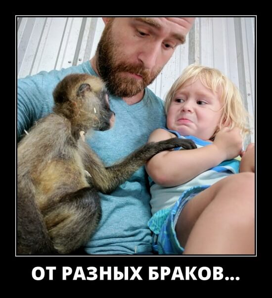 Фото русский демотиватор Фото русский демотиватор