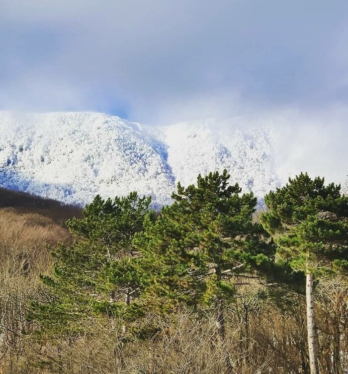 20 контрастных фото, которые заставляют задуматься (21 фото)