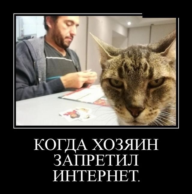 Прикольные новые демотиваторы (30 фото)