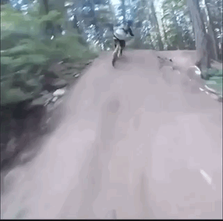 Ожидания не всегда соответствуют реальности (15 гифок)