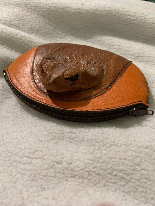 20 плодов необузданной фантазии, которые удивляют своим странным дизайном и качественным исполнением (21 фото)