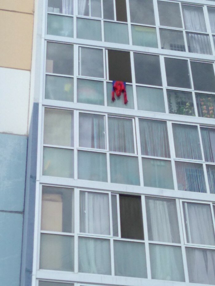 Уставшие бедолаги, на которых даже больно смотреть (18 фото)