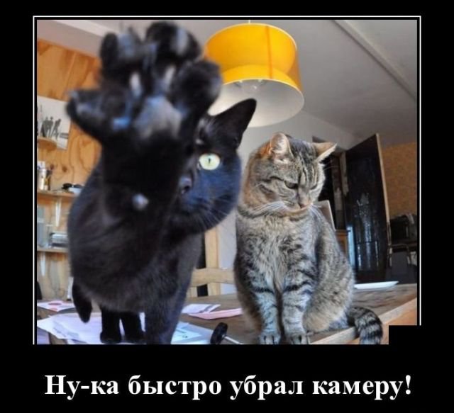 Смешные демотиваторы про жизнь (30 фото) Смешные демотиваторы про жизнь (30 фото)