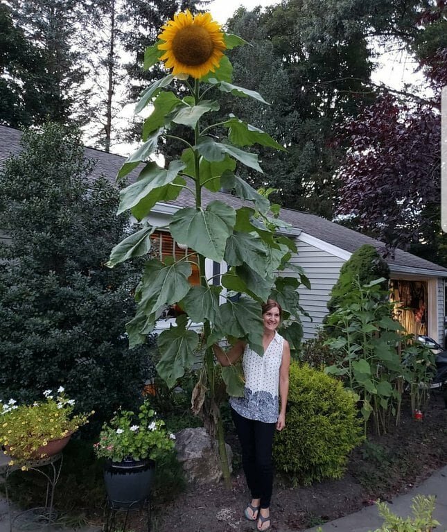 15 фотографий интересных вещей и ситуаций, способных удивить (15 фото)